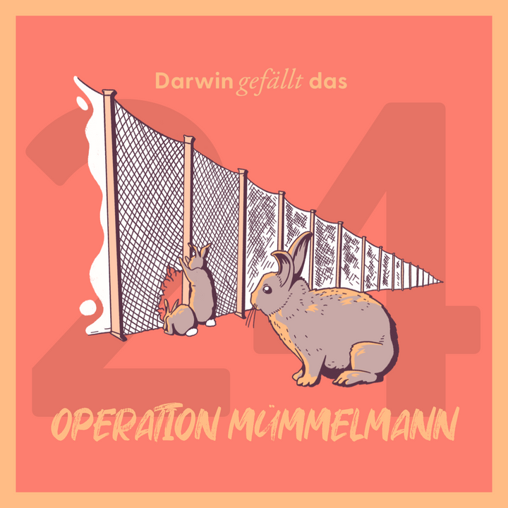 Operation Mümmelmann